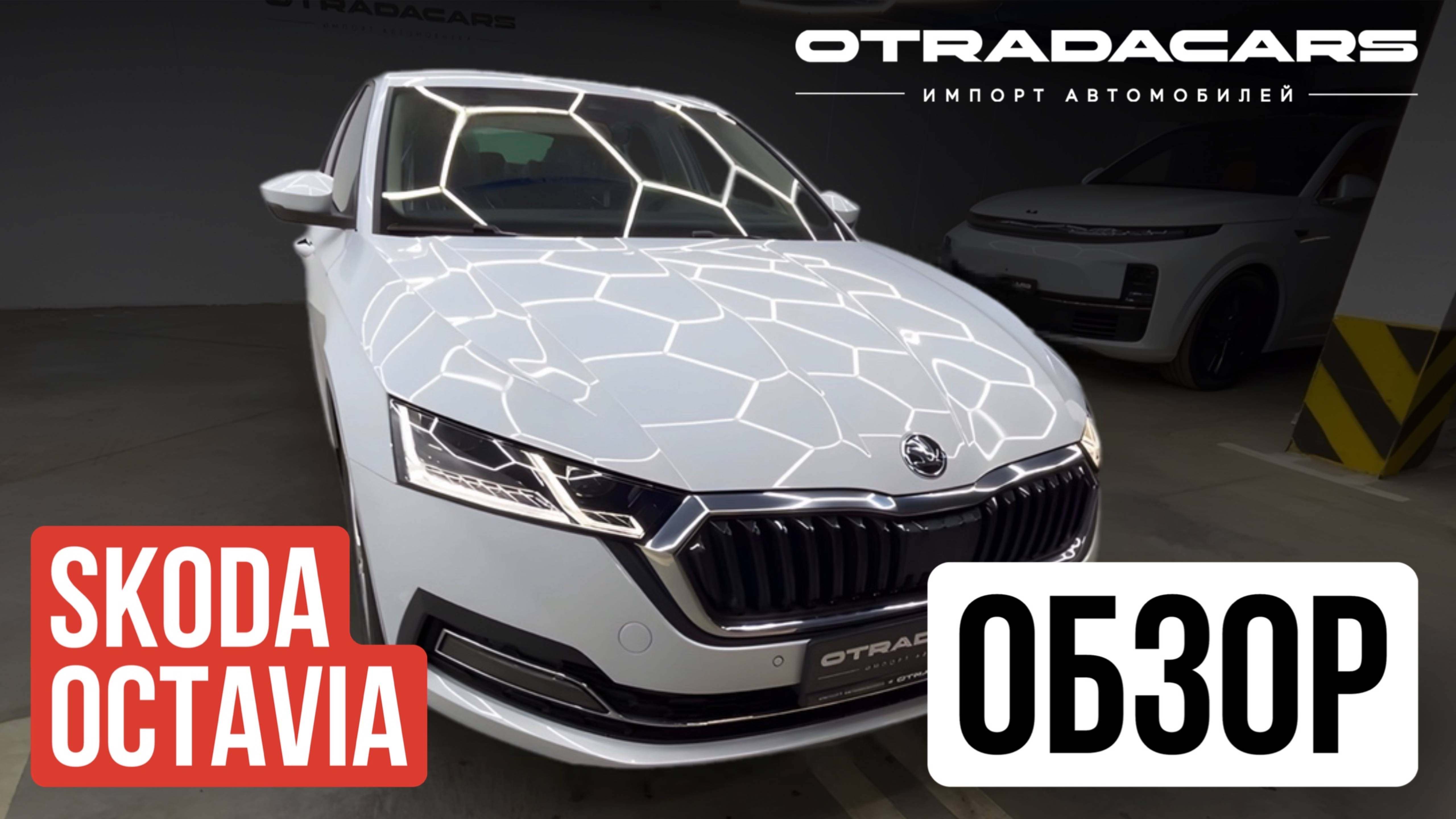 Привезли Skoda Octavia A8 2025 от 3,3 млн. из Казахстана дилерская ОБЗОР