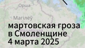 гроза в смоленской области вечером 4 марта 2024 года