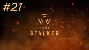 [PC] True Stalker | Прохождение | #21