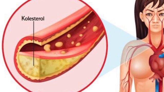 keçiboynuzu tozunun mucizevi faydaları nelerdir ? boy uzatır mı ? смотреть онлайн