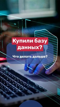 🛑Купили базу данных? Что делать дальше?