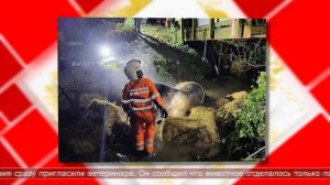 05.03.2025 Мировые новости