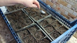 На чем стоит зернодробилка📦 Голая зимой👀 Посеяла перцы🌶🥕 Собрала яйца🥚🥚 Свой дом на Кубани🏠
