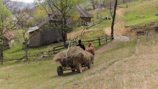 Far From Civilization: Happy Hard Life of a Family in a Remote Mountain Village смотреть онлайн