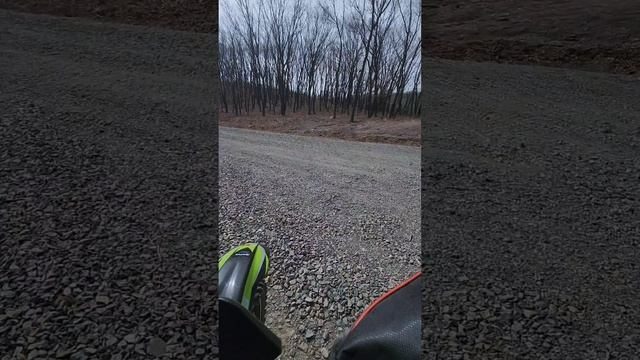 Тренировка + прогулка по старым трапинкам 5 марта 2025 смотреть онлайн