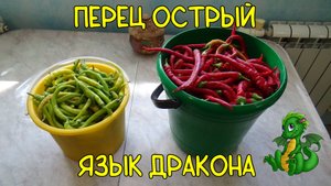 Перец острый "Язык Дракона".
