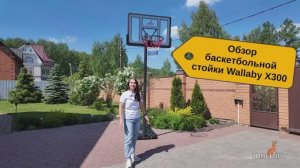 Баскетбольная стойка Wallaby X300 - мобильное баскетбольное кольцо