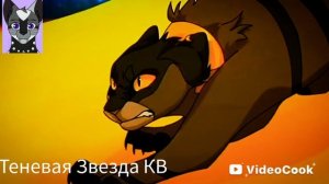 коты воители клип Field котывоители клипField