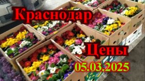Какие цены в Краснодаре март 2025 год / Цветочный рынок в Краснодаре