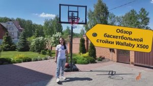 Баскетбольная стойка Wallaby X500 - баскетбольные стойки для улицы и дома