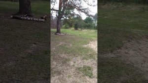 Киров, Калужская область. Река Болва.