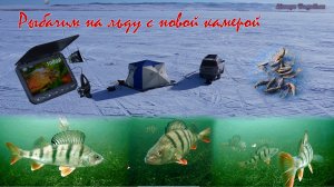 Искали и нашли. Мечта рыбака. Крупный окунь. На льду с комфортом!