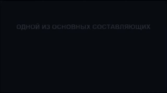 Когда мечты становятся реальностью