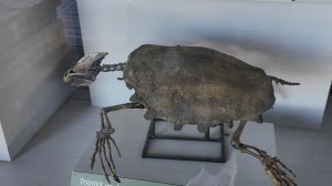 парк Юрского периода 🐲