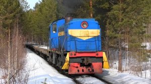 "Лесной обитатель". ТГМ4А-1801 с грузовым составом