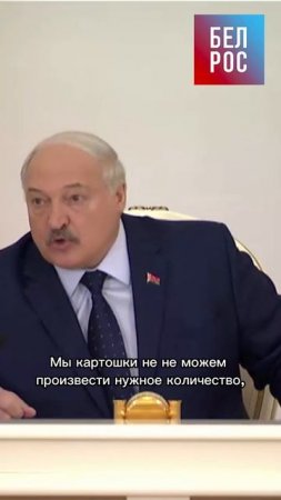 Лукашенко: у нас картошки нет #shorts