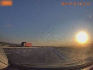 Саранча, Ростовская область.