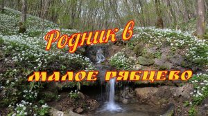 Малое Рябцево