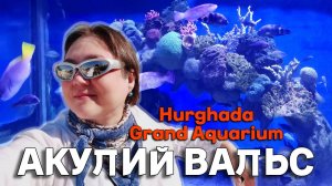 Путешествие в Аквариум Хургады: Уникальные краски мира Красного моря, мини зоопарк, шоу акул и скат