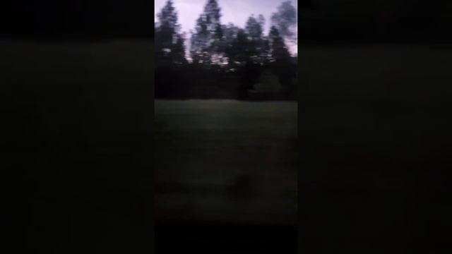 Московская область ранним утром из окна поезда смотреть онлайн