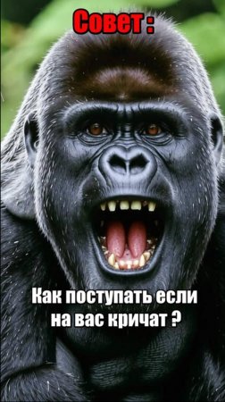 Совет-как поступать правильно если на вас кричат