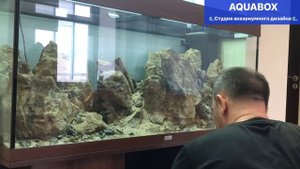 Оформление аквариума Juwel 240 литров.