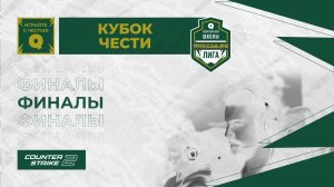 Школа №131-1 #НСК vs Школа №58-1 #СПБ / #Шкс / #cs2 #Стрим / Roxx69