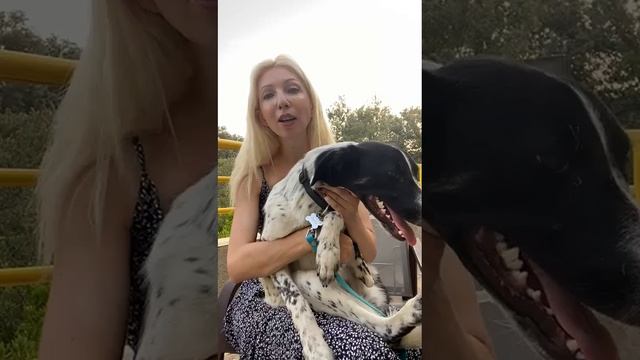 Отзывы (1) смотреть онлайн