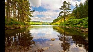 Я болею раком - Снимаем головную боль с помощью "Поющих" чаш и матрицы Гаряева П.П.