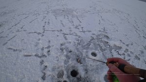 Зимняя рыбалка на окуня на Волге. Невероятно красивый лес покрытый инеем!
