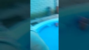 Дочь в бассейне! Залезла прямо в одежде!!!