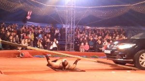 Автомобиль переезжает человека. Цирк-шапито "Золотой Дракон" в Барнауле