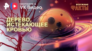 Дерево, истекающее кровью — Безумные факты (05.03.2025)