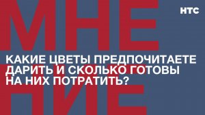 Мнение: Какие цветы предпочитаете дарить и сколько готовы на них потратить?