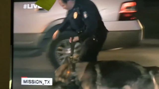 canine entrapment #3 mission texas with ton ton смотреть онлайн