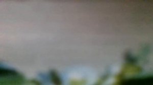 Дуэт Принцессы и Трубадура(В клетке птичка томится, ей полет незнаком,вот и я словно птица)наброски