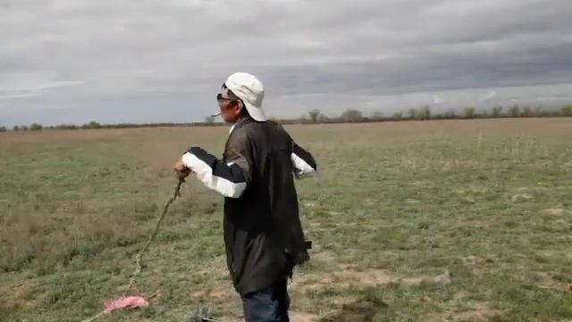 ЛЕВ  СТЕПЕЙ  АЛМАТА    ЕРМЕК