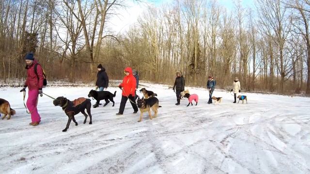 Мороз и солнце! смотреть онлайн