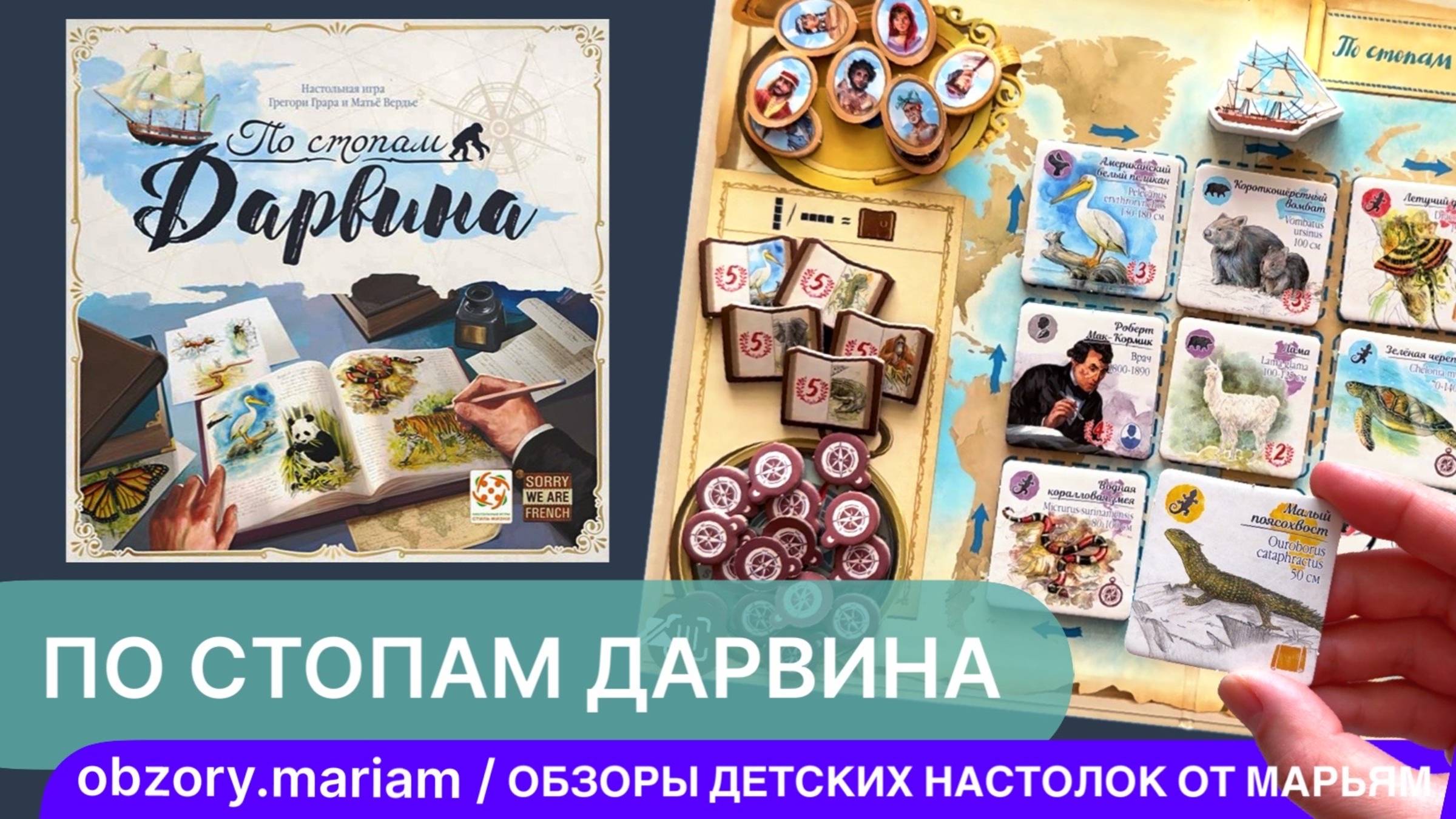 "По стопам Дарвина" - видеоправила красивой семейной настольной игры