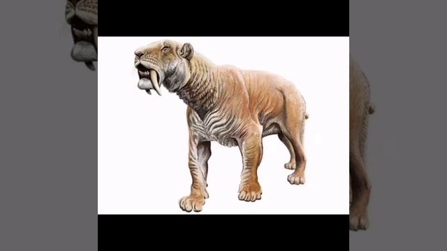 САМЫЕ ОПАСНЫЕ ЖИВОТНЫЕ ПРОШЛОГО смотреть онлайн