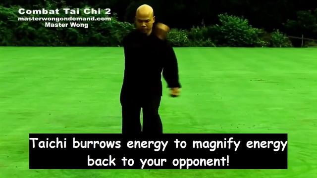 FAKE VS REAL ROUND 2 ShaolinCenter Jake Mace vs Master Wong 1 смотреть онлайн