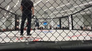 Смешанные боевые единоборства ММА