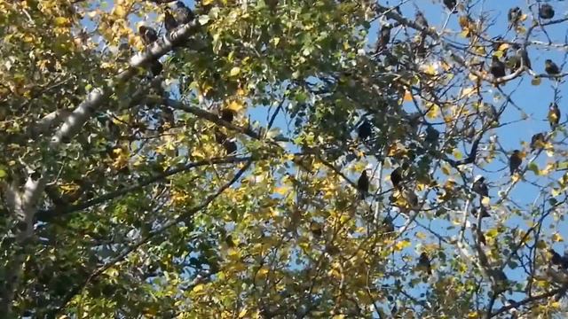 DSCF1461 смотреть онлайн