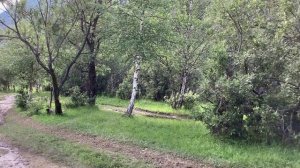 Чулышманская долина. Юж. берег Телецкого озера Паром Дорога в Монголию