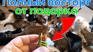 Полный восторг от подарка.