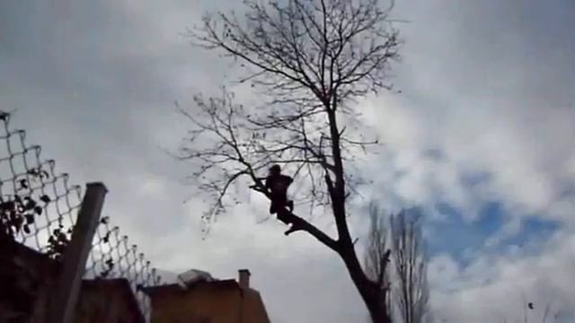 Рязане на  дървета 0879 37 24 59  - орех над ограда