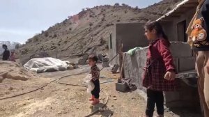 30.03.2024 Выживет ли Ее ягненок Мать-одиночка выбирает свой путь