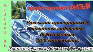 Рассылка проснувшихся косточек садоводом В.Железовым. 50% стоимости.