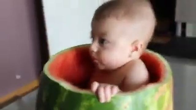 Сладкий малыш в сладком арбузе) смотреть онлайн