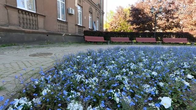 Цветущий Даугавпилс смотреть онлайн
